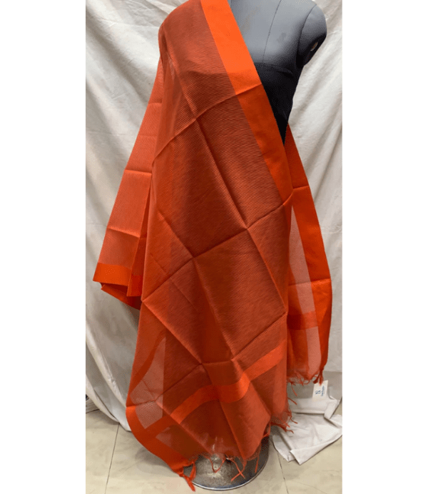 Dupatta9