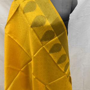 Dupatta16