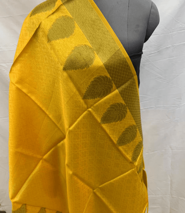 Dupatta16