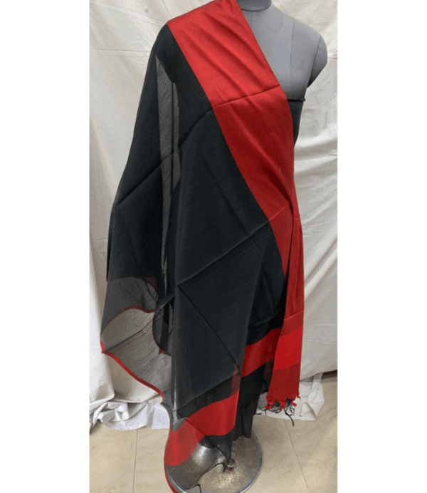 Dupatta24