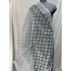 Dupatta29