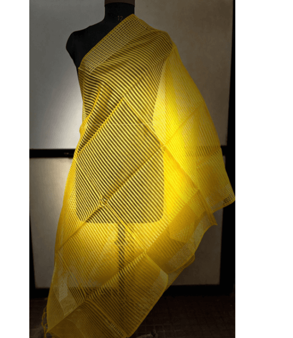 Dupatta32