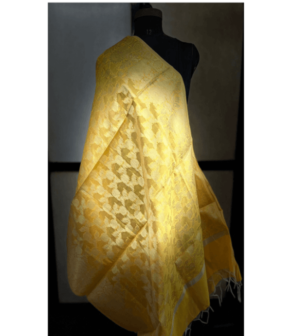 Dupatta38
