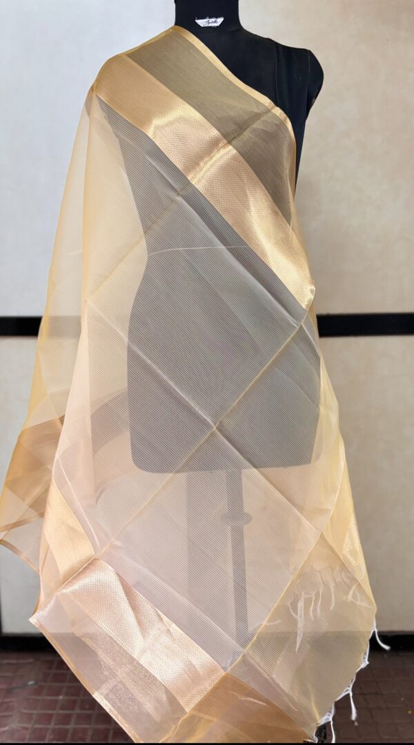 Dupatta25