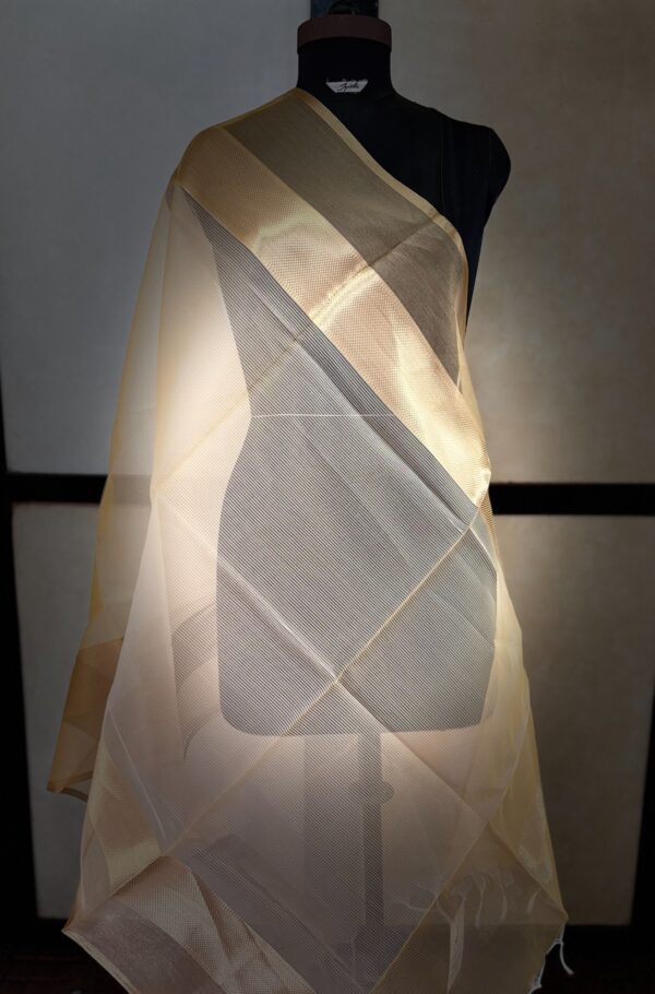Dupatta25 - Image 2